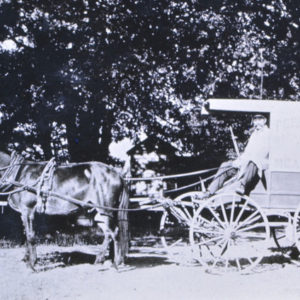 Milk Delivery Horse and Buggy Stage Coach near Forestville