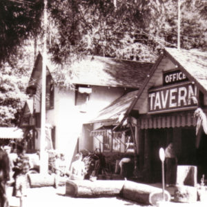 Guests Sitting on Redwood Logs at Guernewood Park Tavern Office