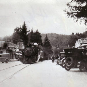 Steam Train Traveling Through Guerneville