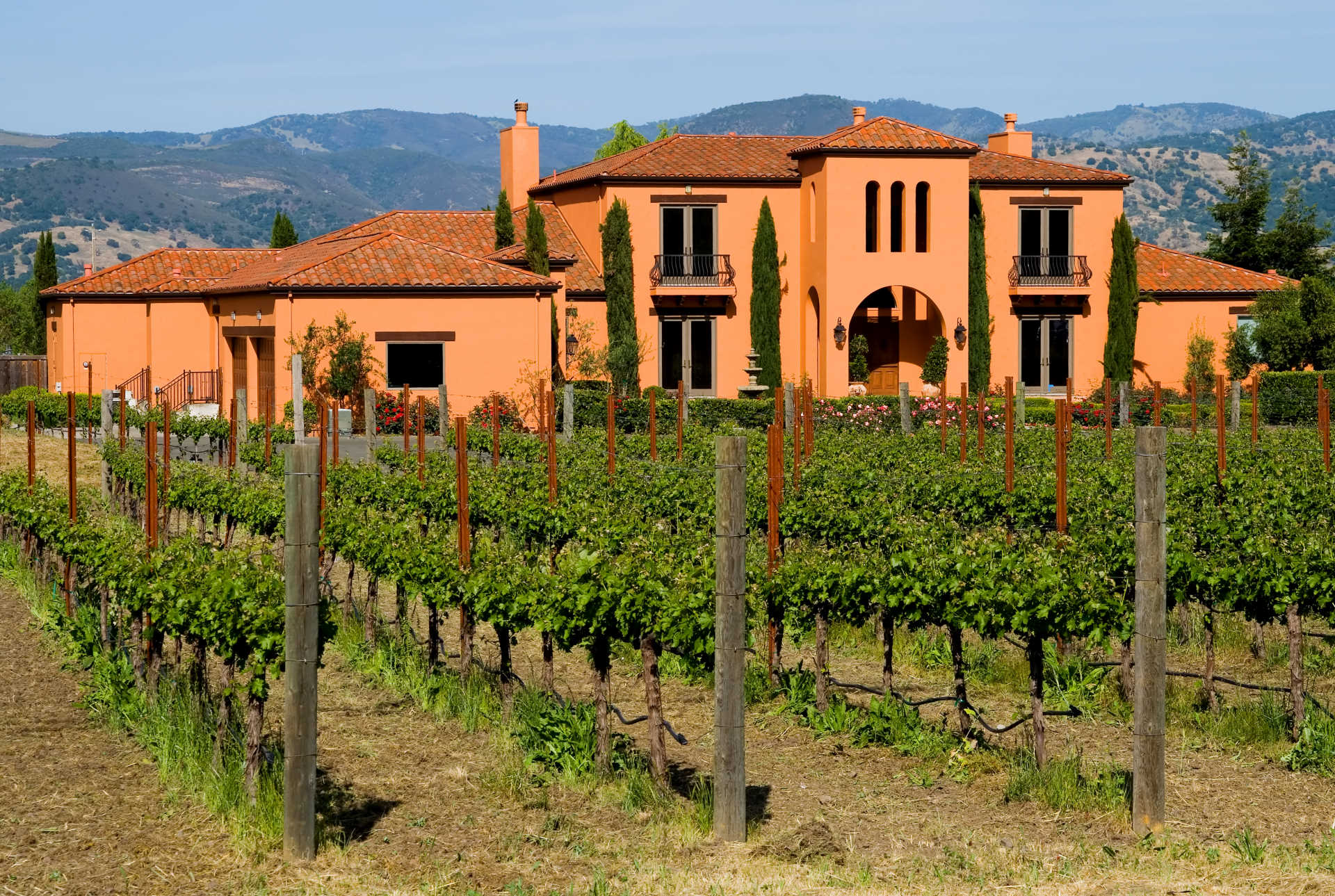 Wine country estate with vineyard