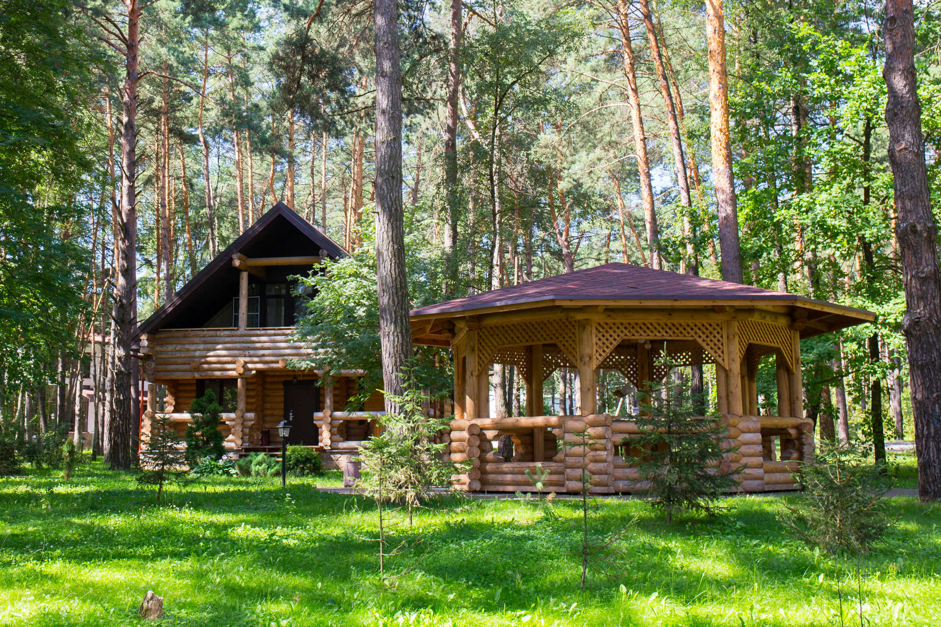 Log cabin house and gazebo