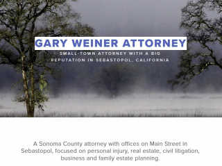 Gary Weiner Attorney Real Estate Personal Injury Business Estate Planning