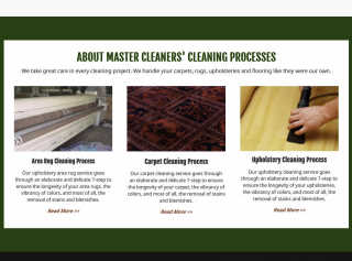 Master Cleaner Carpet Cleaners